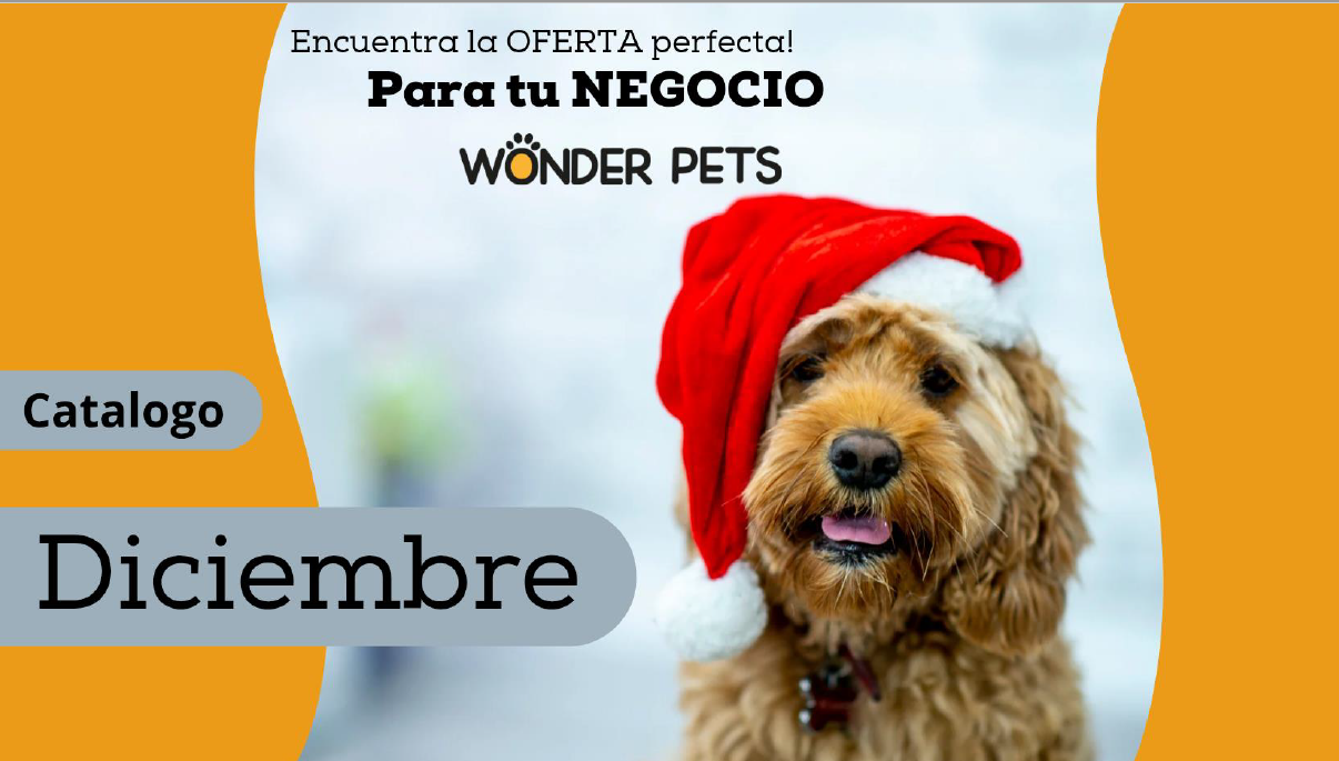 Ofertas Diciembre en Wonder Pets