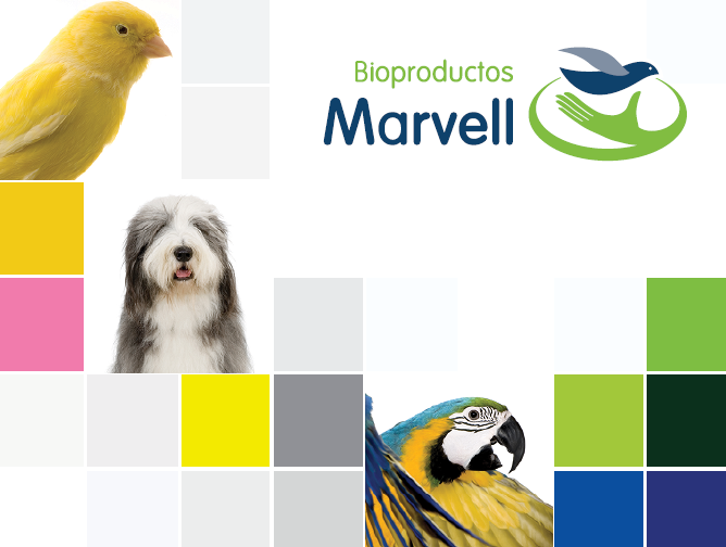 Catálogo de productos Marvell 2025