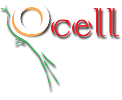 Catálogo Ocell