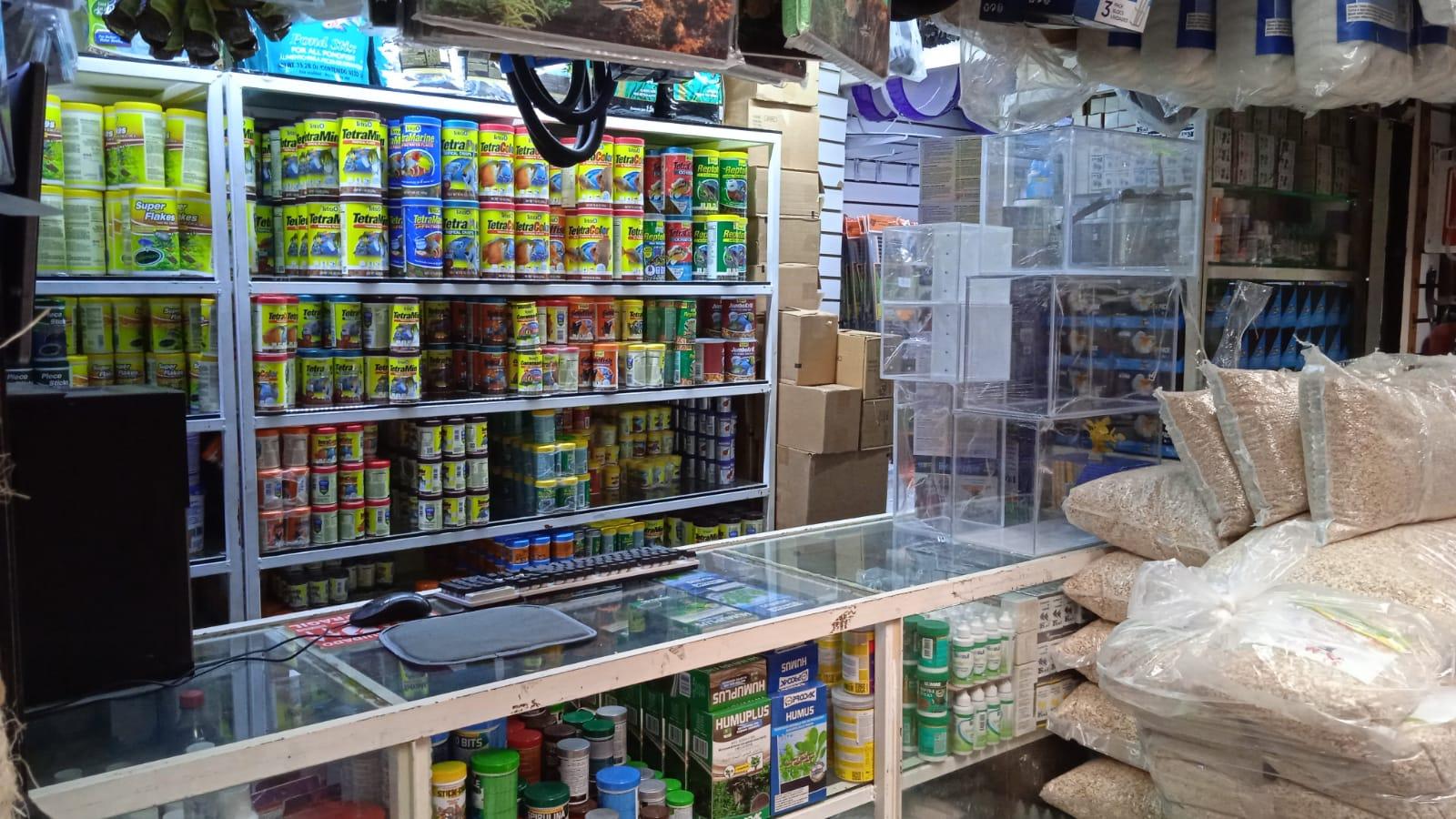 Los mejores productos