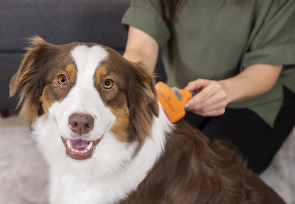 FURMINATOR: para un cepillado seguro, fácil y suave